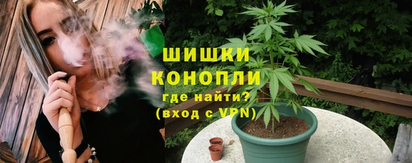 стаф Белоозёрский