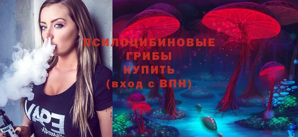 стаф Белоозёрский