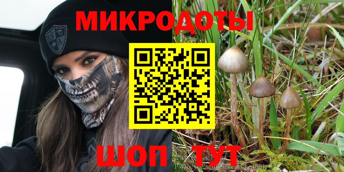 Псилоцибиновые грибы мухоморы Гусев